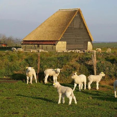Stylish Holiday In Texel With Sauna * Westermient