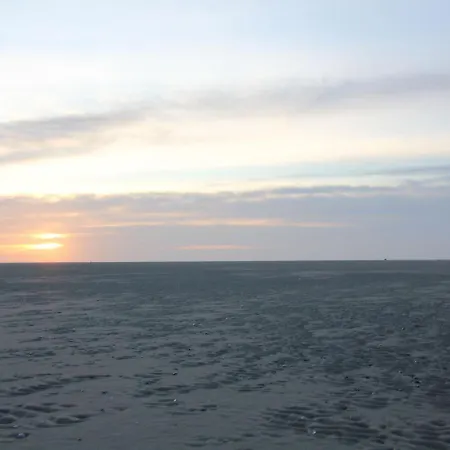 Stylish Holiday In Texel With Sauna *